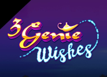 3 Genie Wishes